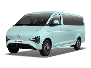 Dongfeng Fuiruitong