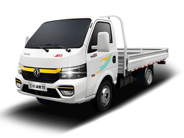 Dongfeng Tuyi T5