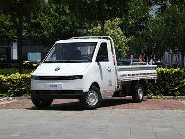 Foton View T7