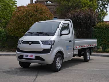 Guoji Daxiang G40
