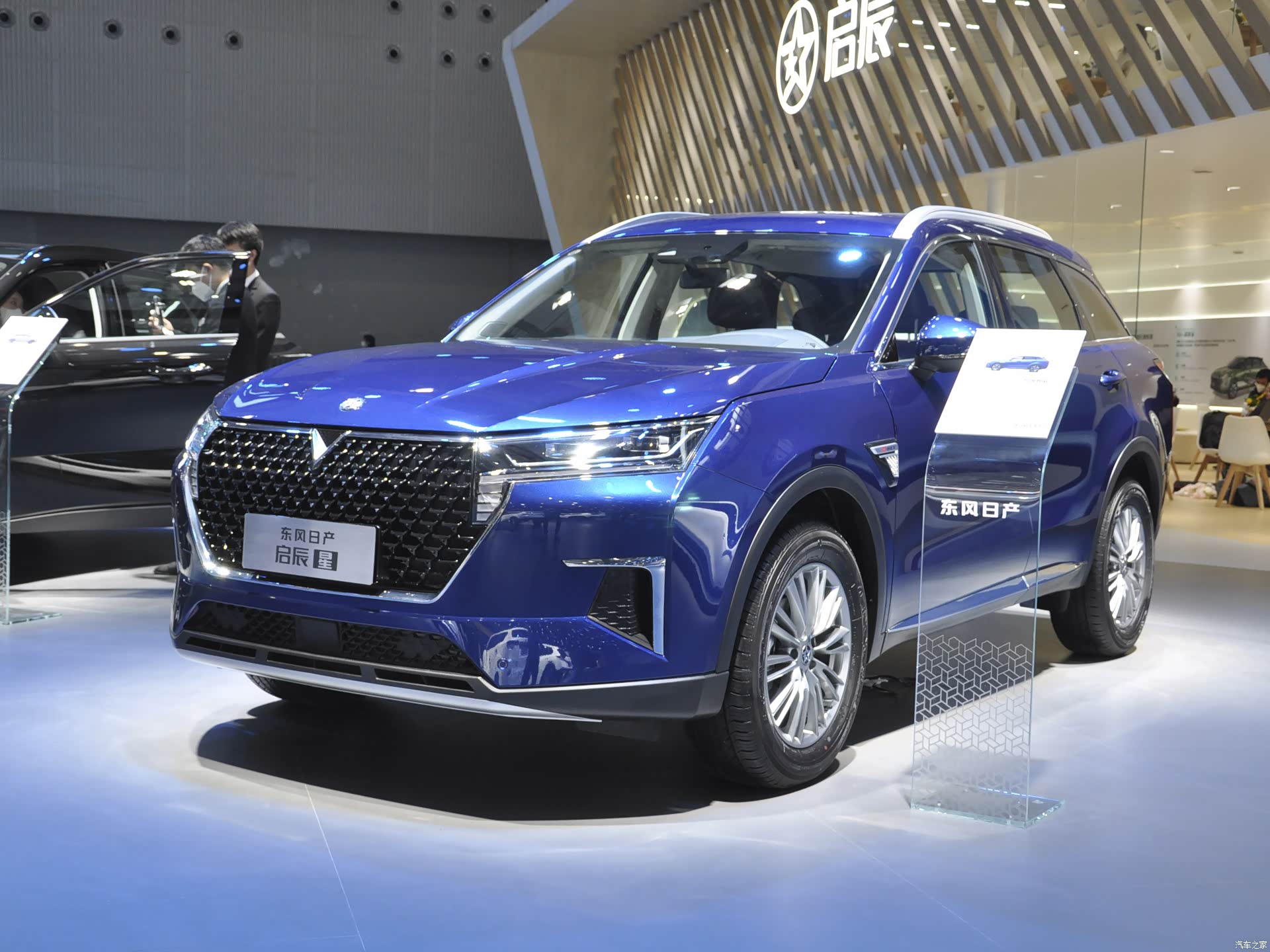 Venucia Star
