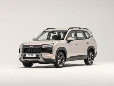 Wuling Starlight 560