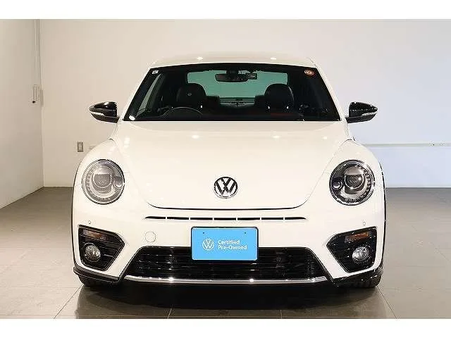 Volkswagen the Beetle
